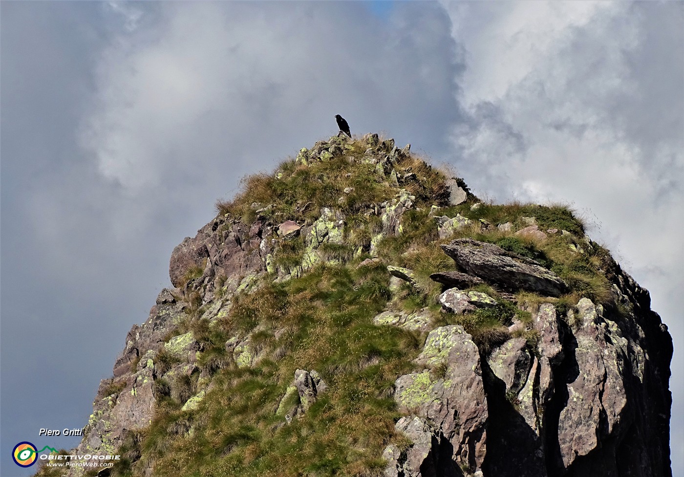 48 Sul cocuzzolo della montagna probabile corvo imperiale .JPG